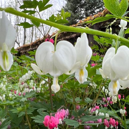 1795 Acorn Inn Bed And Breakfast Канандейґуа Екстер'єр фото